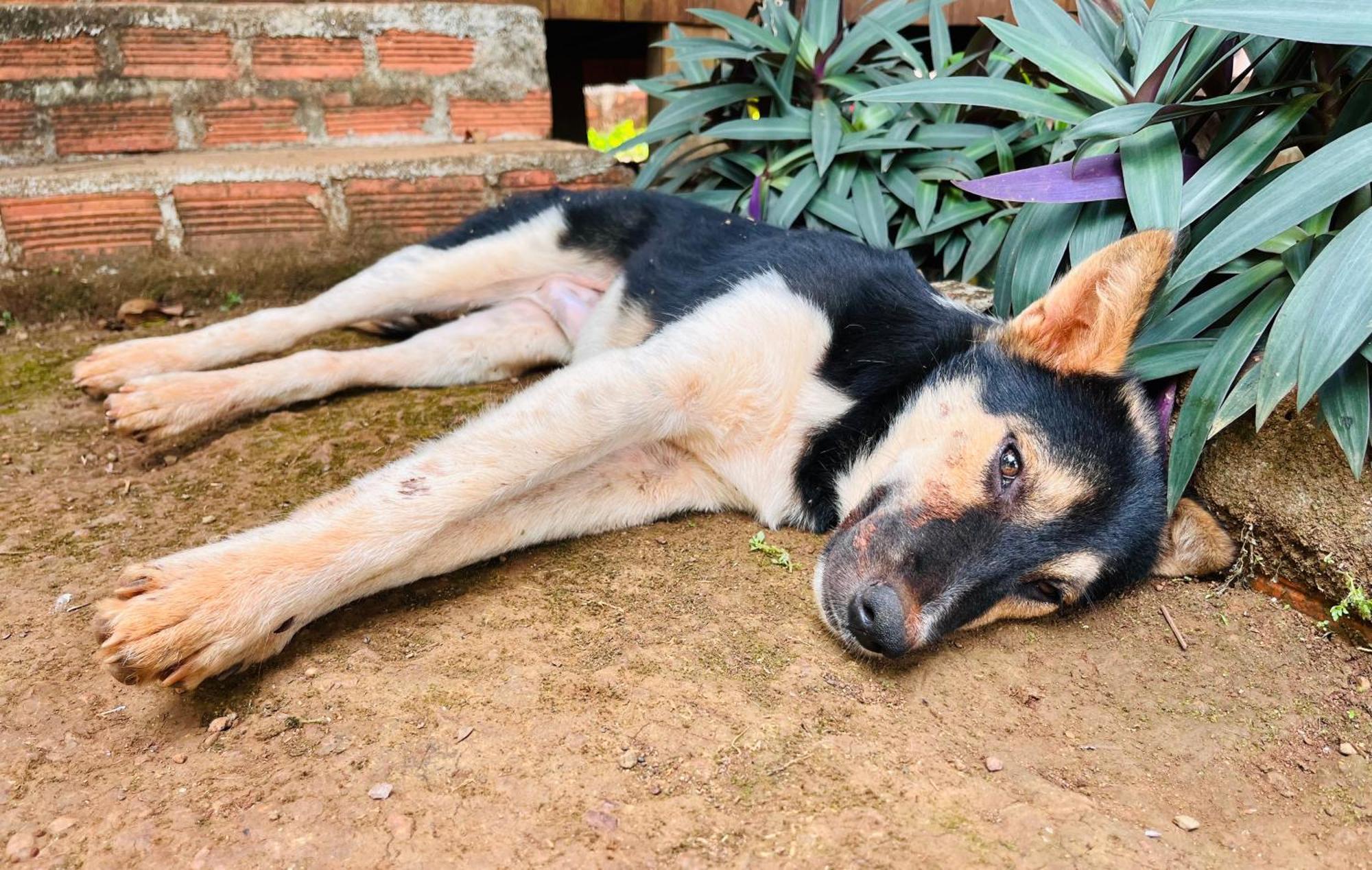Ratanakiri Farmhouse&Trekking Banlung Bagian luar foto