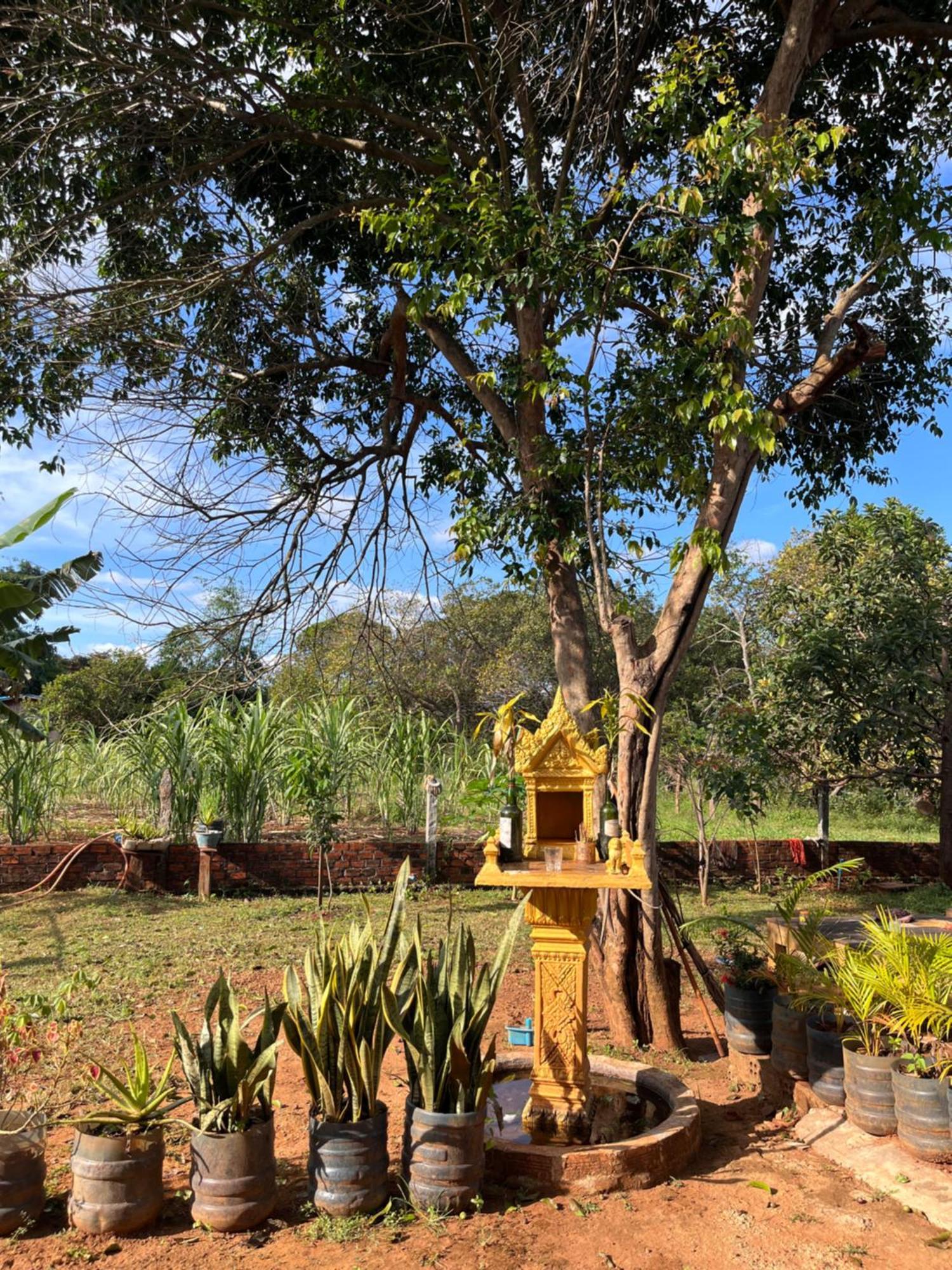 Ratanakiri Farmhouse&Trekking Banlung Bagian luar foto