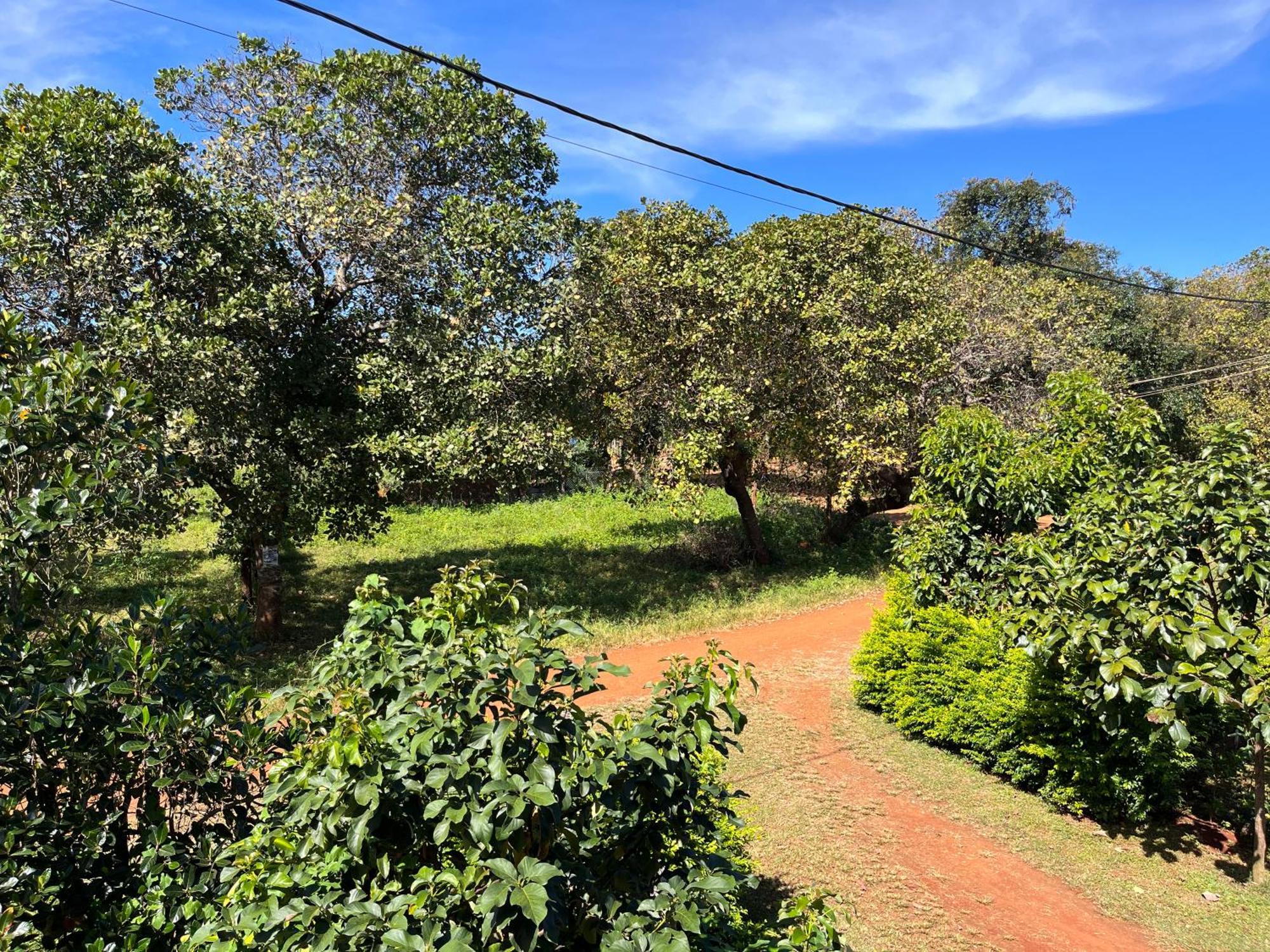 Ratanakiri Farmhouse&Trekking Banlung Bagian luar foto